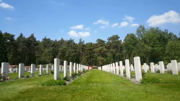 Canadian War Cemetery in Holten — Stok video