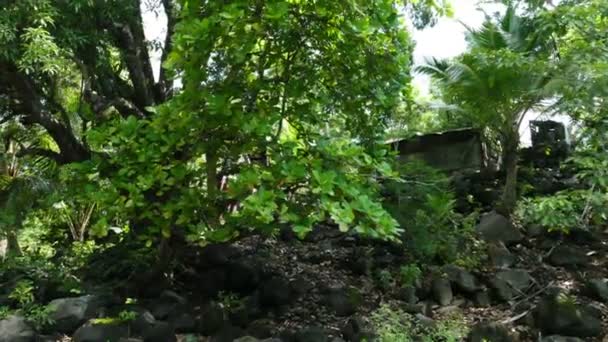 Croisière à travers les îles de Grenade — Video