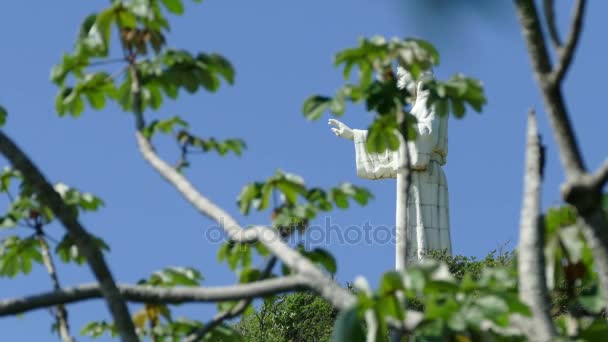 Statue du Christ de la Miséricorde — Video