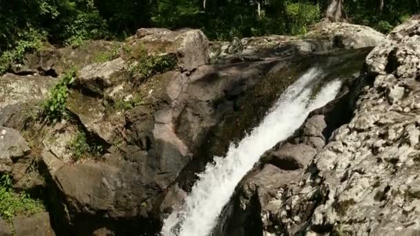 セルバ ・ ネグラのジャングルの中の滝 — ストック動画