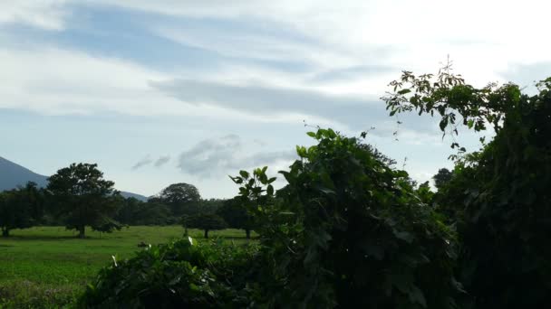 Volcan Mombacho in Granada, Nicaragua — Stockvideo