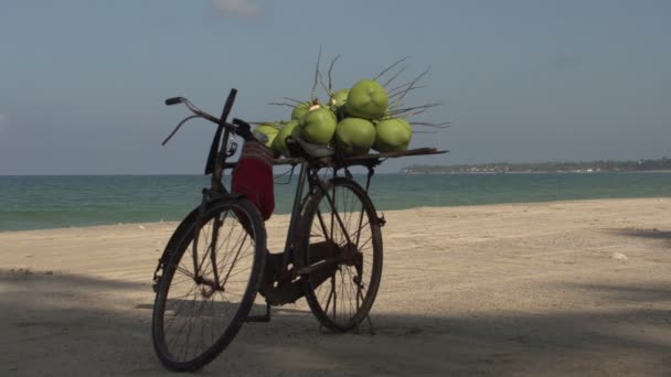 Fahrrad mit Kokosnüssen am Strand — Stockvideo