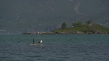 Norveç fjordslake görünümü