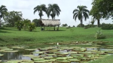 Surinam, Grand Rio Nehri, Awarradam