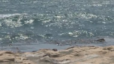 La Gomera plajda kitesurfers