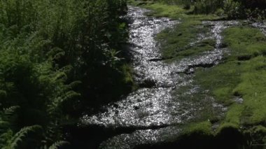  Şelaleler Iguazu Brezilya Arjantin