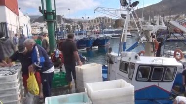 Sri Lanka Balık pazarı