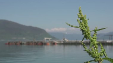 Norveç göl fiyortları manzara