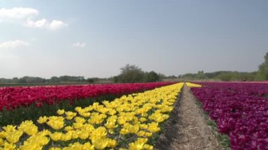 çiçek alanları içinde