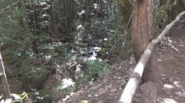 La Gomera, nehir manzara 