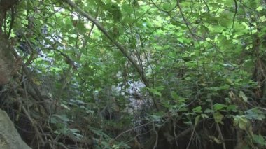  Baf bölgesi, Aphrodite banyo