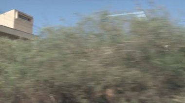 Salamis, antik Yunan şehir devleti