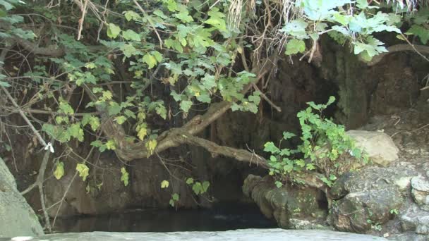 Região de Paphos, Banho de Afrodite — Vídeo de Stock