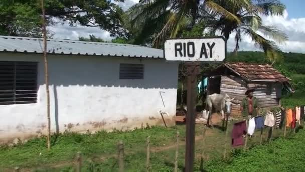 Hombre caminando con caballo — Vídeos de Stock