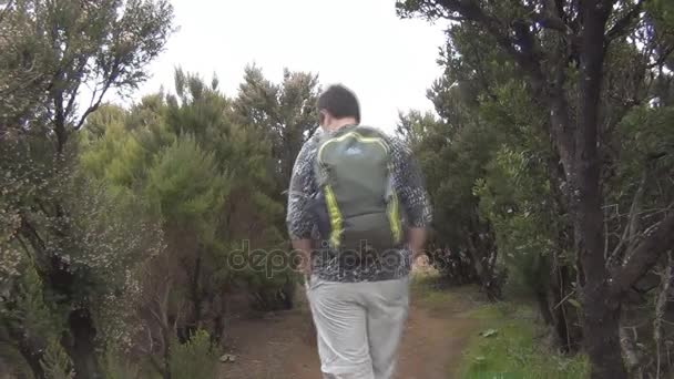 Caminando personas en las montañas — Vídeo de stock