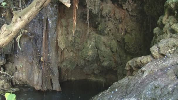 Région Paphos, Bain d'Aphrodite — Video