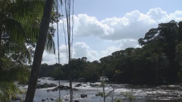 Suriname, Grand Rio rivier, Awarradam — Stockvideo