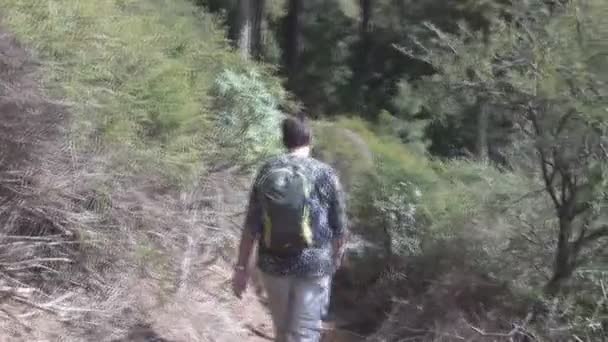 Caminando personas en las montañas — Vídeo de stock