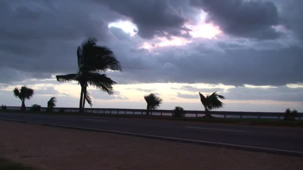 Удивительный рассвет на Кубе — стоковое видео