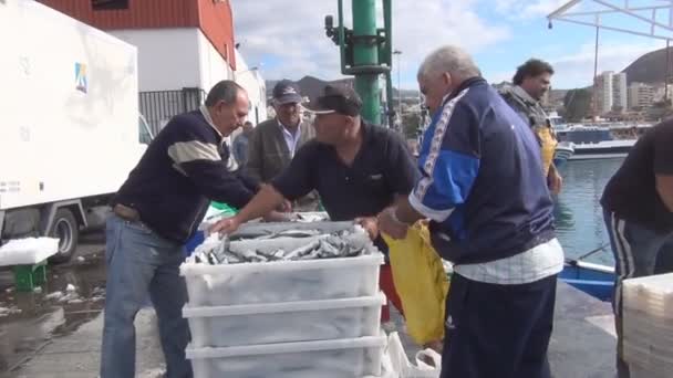 Mercado da pesca em Sri Lanka — Vídeo de Stock