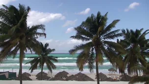 Varadero, Palmeiras e vista para a praia — Vídeo de Stock