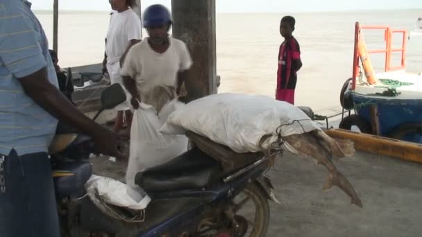 Mercado da pesca em Sri Lanka — Vídeo de Stock