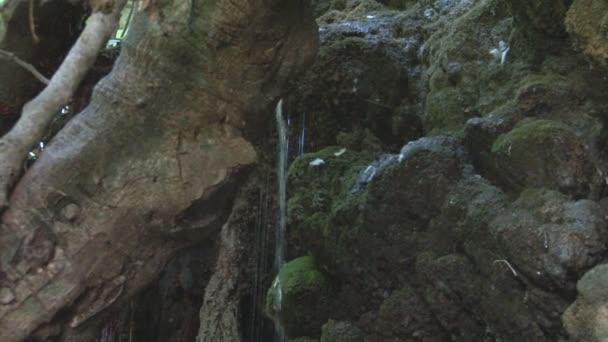 Région Paphos, Bain d'Aphrodite — Video