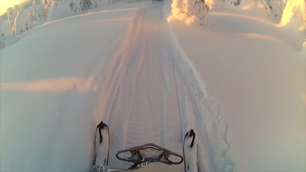 Paseo turístico en motos de nieve — Vídeos de Stock