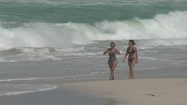 Meninas sexy andando na praia — Vídeo de Stock