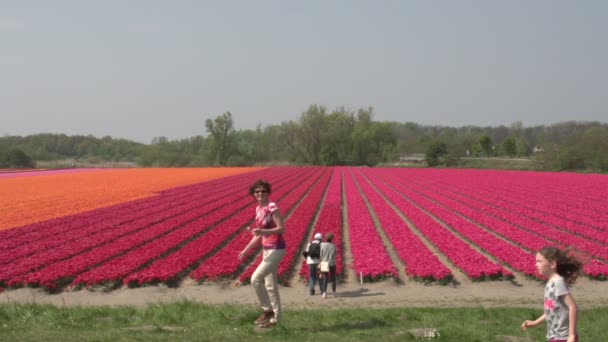 Люди ходят по цветочным полям — стоковое видео