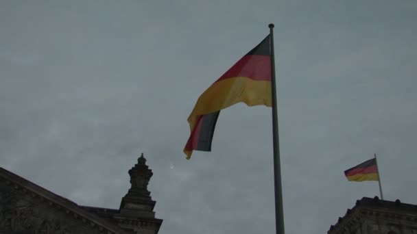 Размахивая немецким флагом — стоковое видео