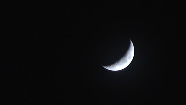 Halve maan aan nachtelijke hemel — Stockvideo
