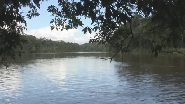 Beelden Van Suriname Palumeu Lake — Stockvideo