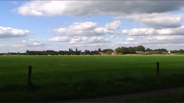 Nederland, Sprengenberg, Palthetoren — Stockvideo