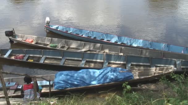 Kanoeing sul fiume Grand Rio — Video Stock