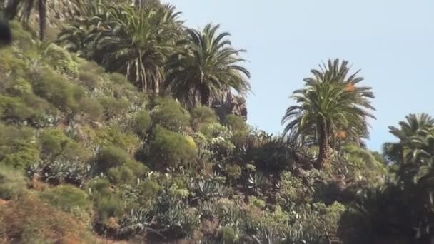 Bilder Från Gomera Sjö — Stockvideo