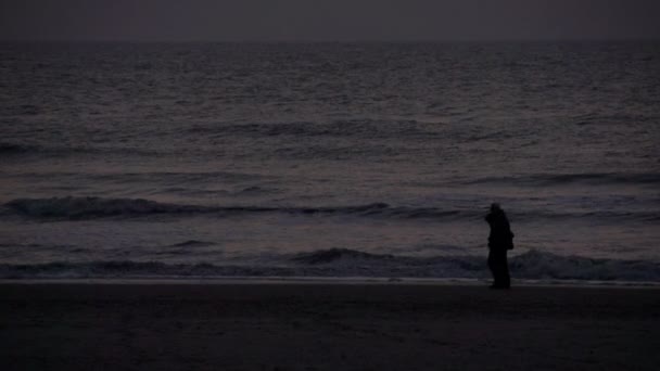 Mouettes à la plage de la mer du Nord — Video