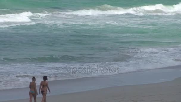 Сексуальные девушки, гуляющие по пляжу — стоковое видео