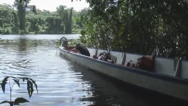 Beelden Van Suriname Palumeu Lake Man Verwijderd — Stockvideo