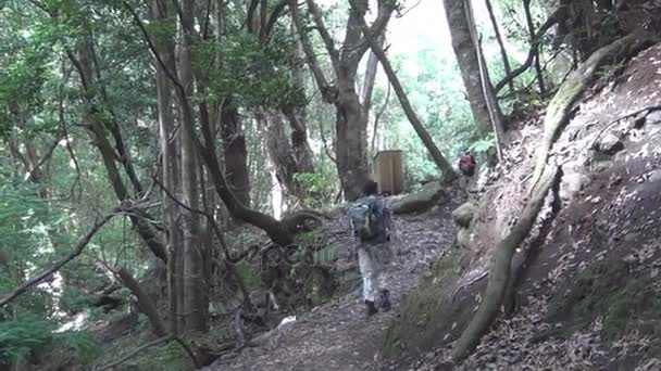 Pessoas ambulantes nas montanhas — Vídeo de Stock