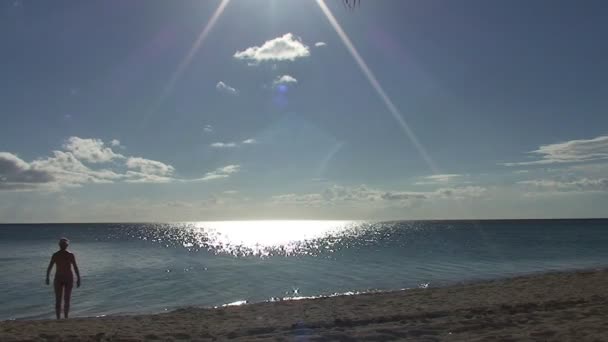 Playa vızıldamak görünümü — Stok video