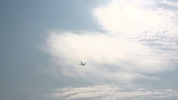 Gaviotas en la playa del mar del norte — Vídeos de Stock