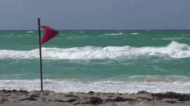 Varadero Rote Gefahrenfahne Strand — Stockvideo