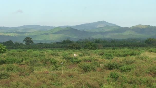 Paisagem natural de Cuba — Vídeo de Stock