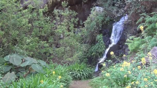 La Gomera, paisaje fluvial — Vídeos de Stock