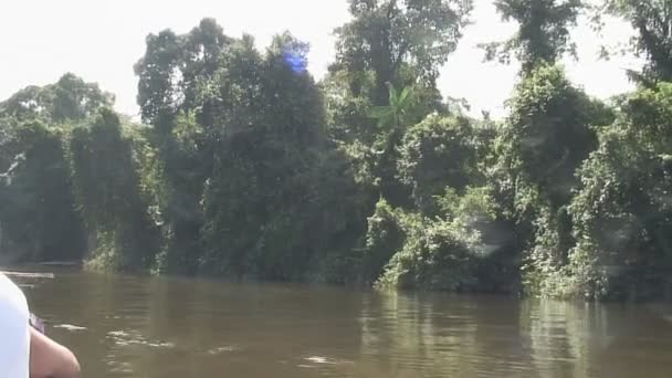 Boattrip na řece Grand Rio — Stock video