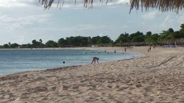 Playa vızıldamak görünümü — Stok video