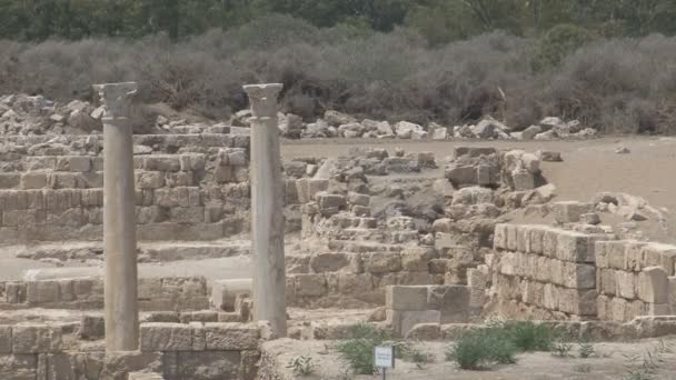Salamis, alter griechischer Stadtstaat — Stockvideo
