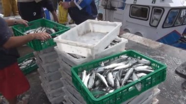 Sri Lanka Balık pazarı