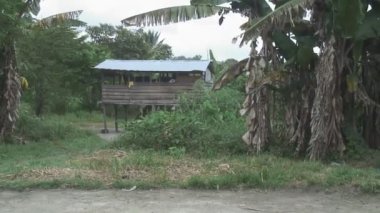 Surinam, Grand Rio Nehri, Awarradam